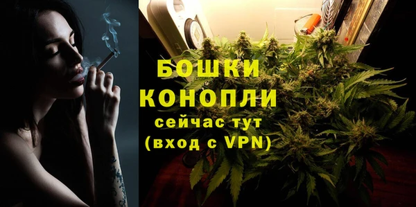PSILOCYBIN Остров